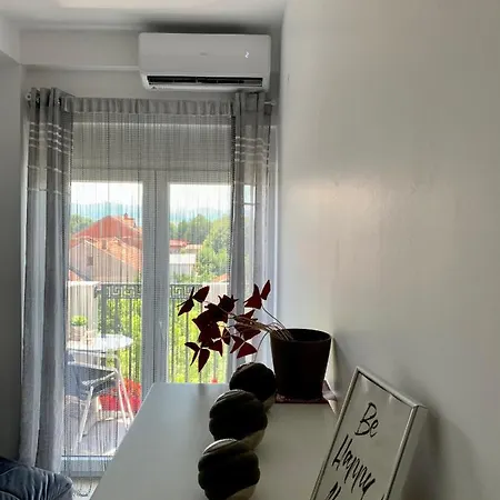 Apartman-stefanovic Apartment Vranje